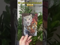 반 고흐의 해바라기 3D 렌티큘러 엽서 박물관 미술관용