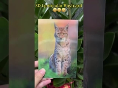 반 고흐의 해바라기 3D 렌티큘러 엽서 박물관 미술관용