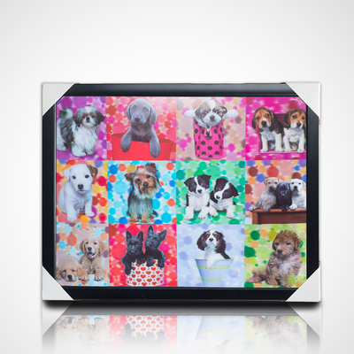 검은색 프레임과 함께 3D 렌즈 회화 40*30cm PET 5D 3D 렌즈 그림 프레임 예술 작품 현대 그림