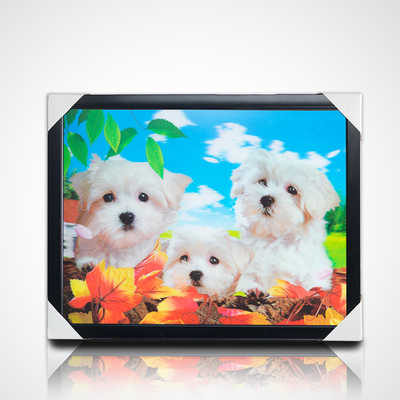 사용자 지정 30*40cm 일본 애니메이션 그림 애니메이션 그림 3D 포스터 렌즈형 애니메이션 포스터 벽 장식