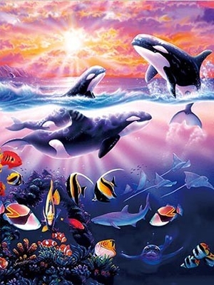 Sealifes 돌고래 거북이 상어 렌즈형 3D 모션 카드 기념품 기프트 카드