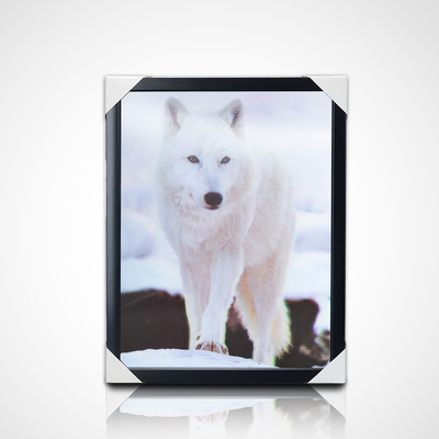 도매 벽화 PET 40*30cm 3D 5D 수정 동물 세계 그림